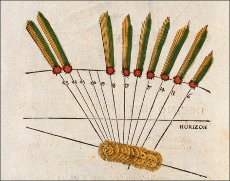 apianus.jpg