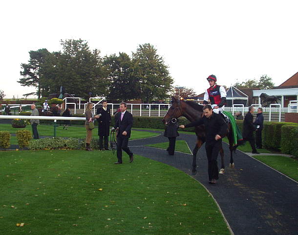 Winning enclosure3.jpg