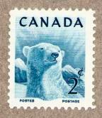 canadabear.jpg