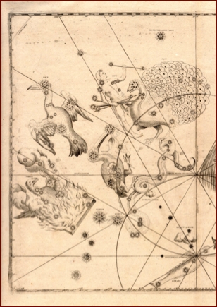 BayerUran1661PiscisTop.jpg