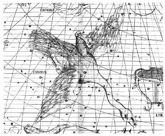 Cygnus2.jpg