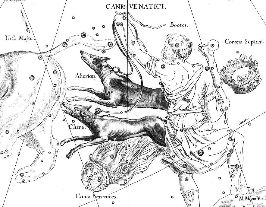 Heveliuscvn.JPG