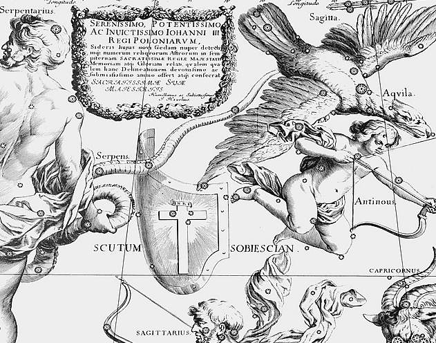 Heveliusscutum.JPG