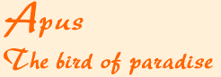 apshead.gif