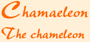 chahead.gif