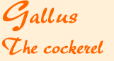 gallushead.gif
