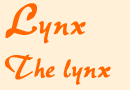 lynxhead.gif