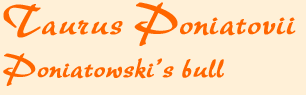 poniatowskihead.gif