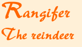rangiferhead.gif