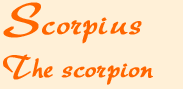 scohead.gif