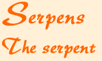 serhead.gif