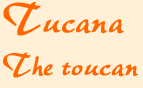 tuchead.gif