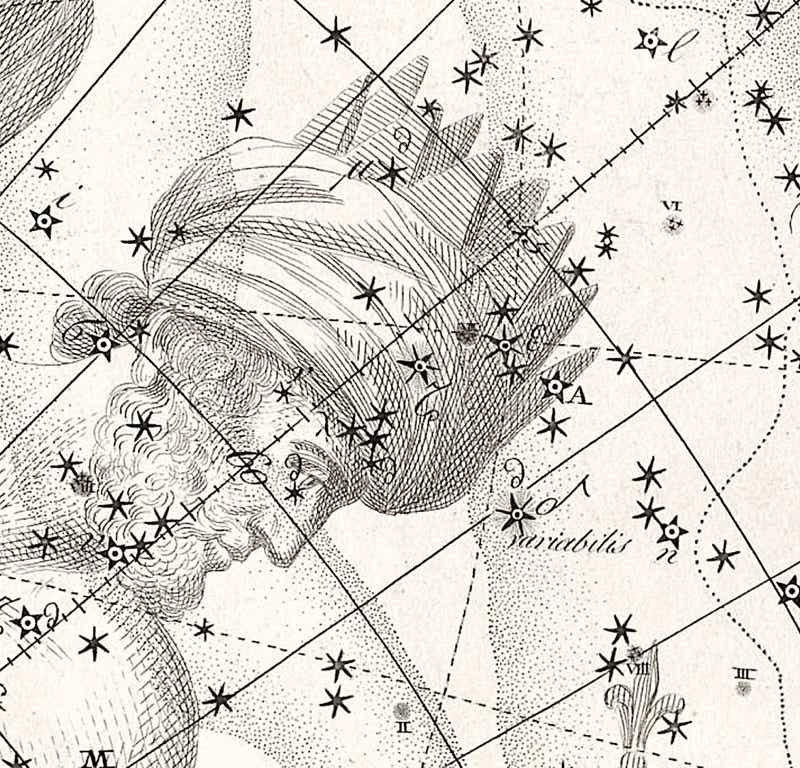 Johann Bode's depiction of Delta Cephei