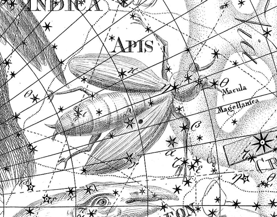 Musca on Bode's Uranographia