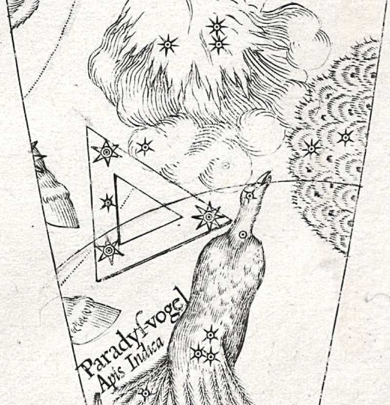 Phoenix shown on Plancius's celestial globe of 1598