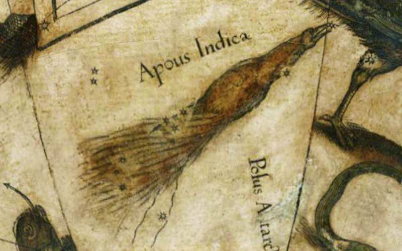 Apus on Blaeu's globe of 1603