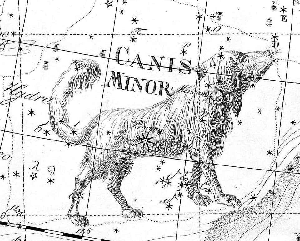 Canis MInor on Bode's Uranographia