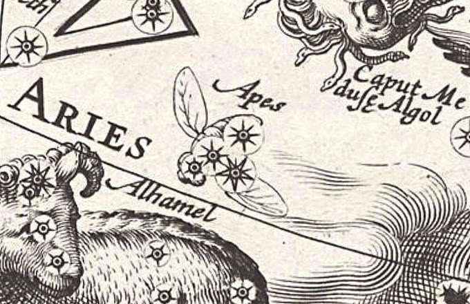 Apes on a globe of 1612 by Plancius