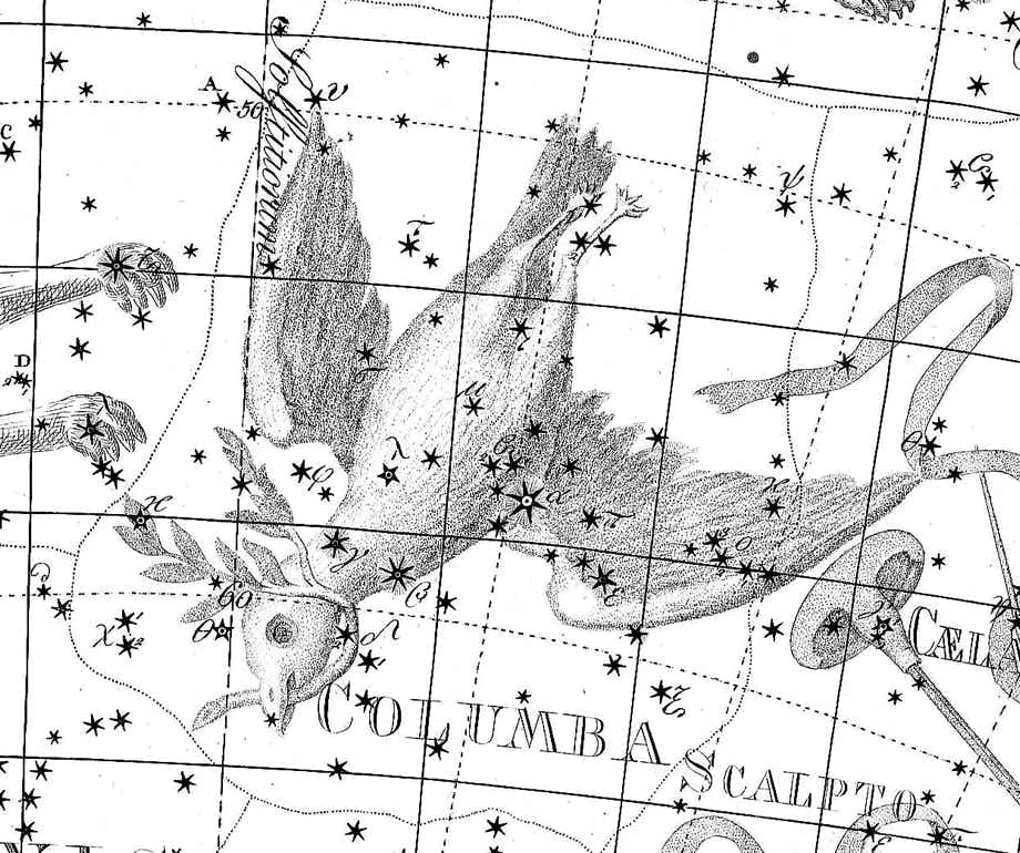 Columba on Bode's Uranographia