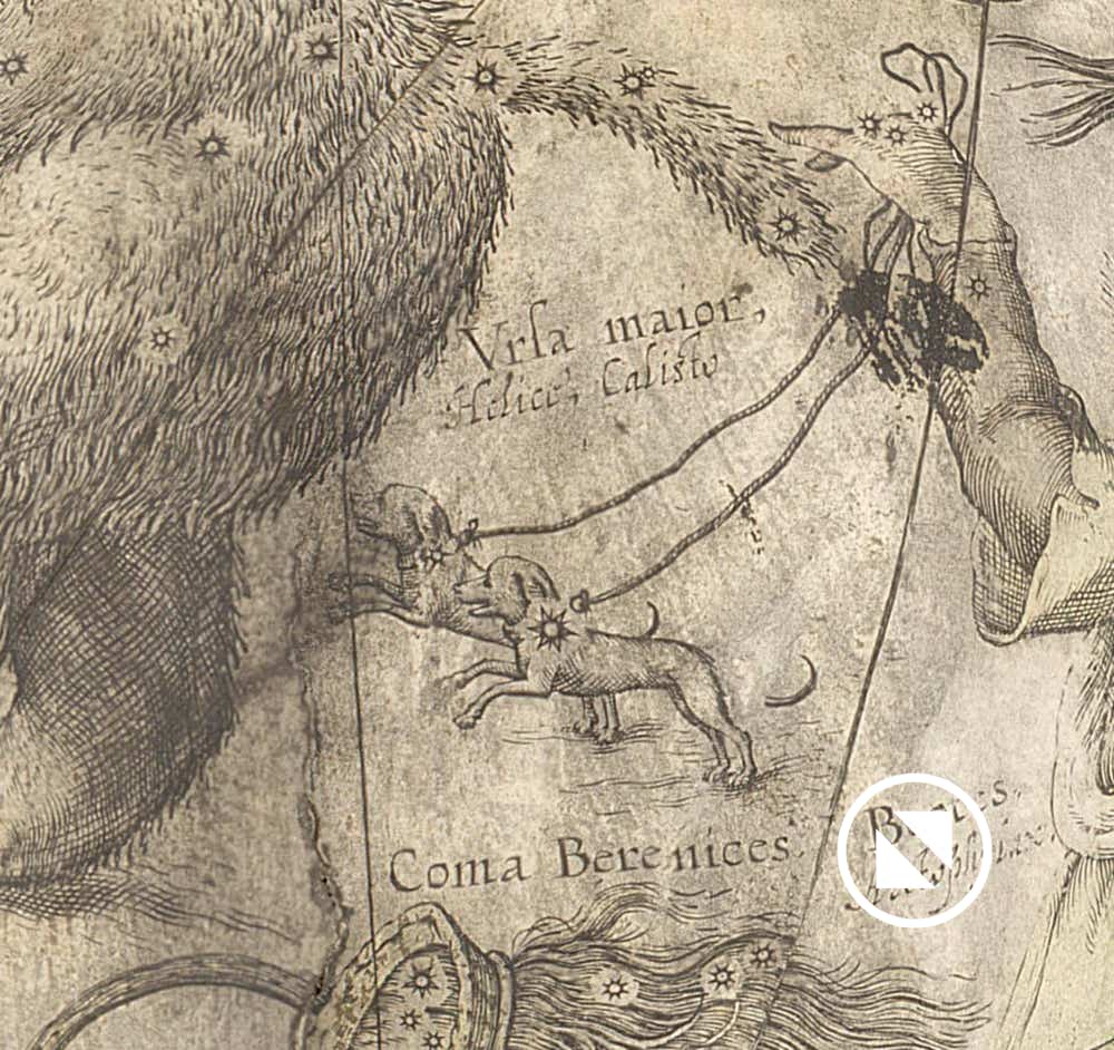 Two small dogs held on a leash by Boötes on a globe made in 1602 by Willem Janszoon Blaeu
