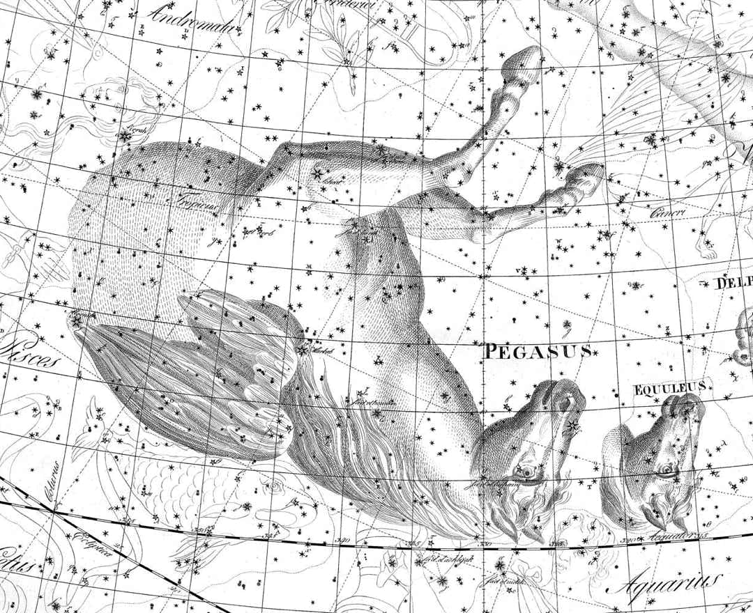Pegasus on Bode's Uranographia