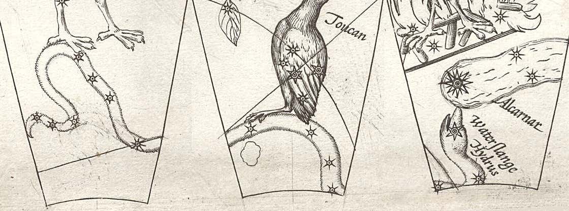 Hydrus seen across three gores from Plancius’s celestial globe of 1598