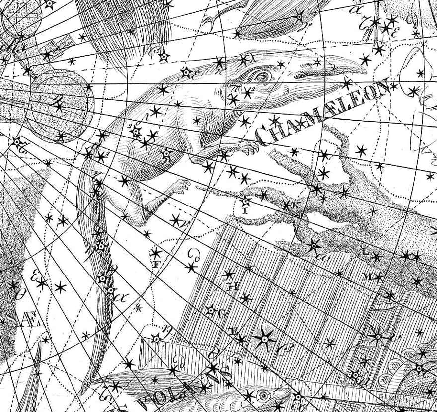 Chamaeleon on Bode's Uranographia