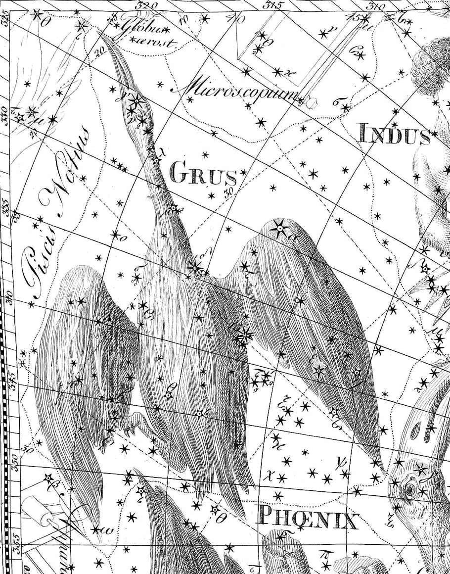 Grus on Bode's Uranographia