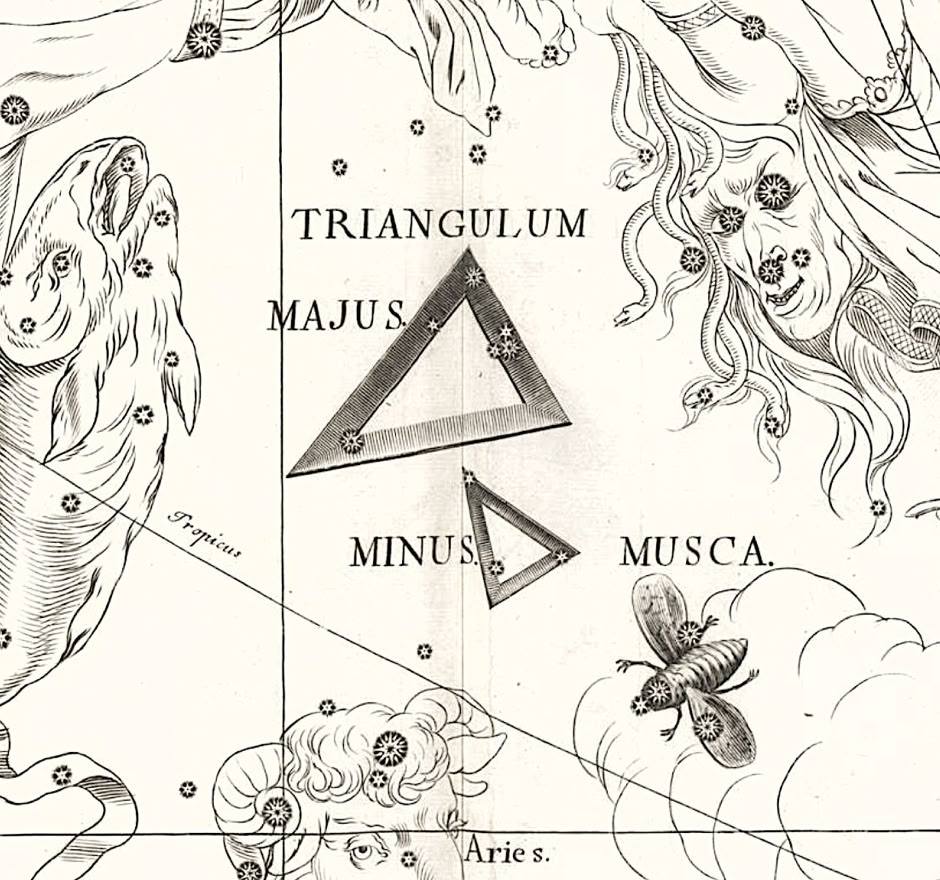 Triangulum Minus on Hevelius's Firmamentum Sobiescianum atlas
