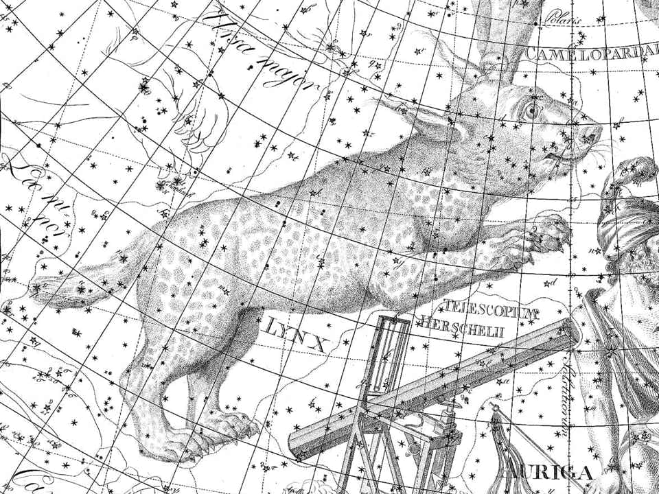 Lynx on Johann Bode's Uranographia