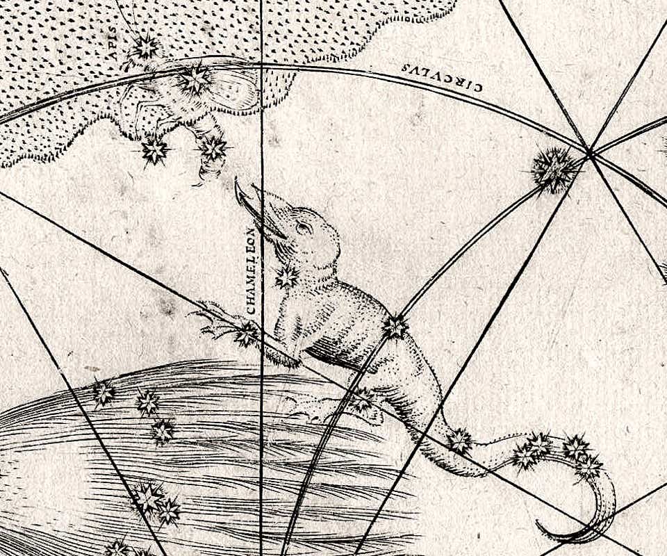 Johann Bayer’s depiction of the chameleon on his Uranometria atlas of 1603