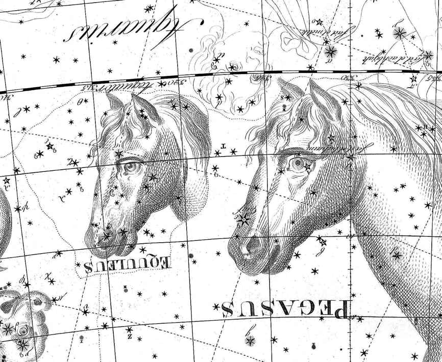 Equuleus on Bode's Uranographia