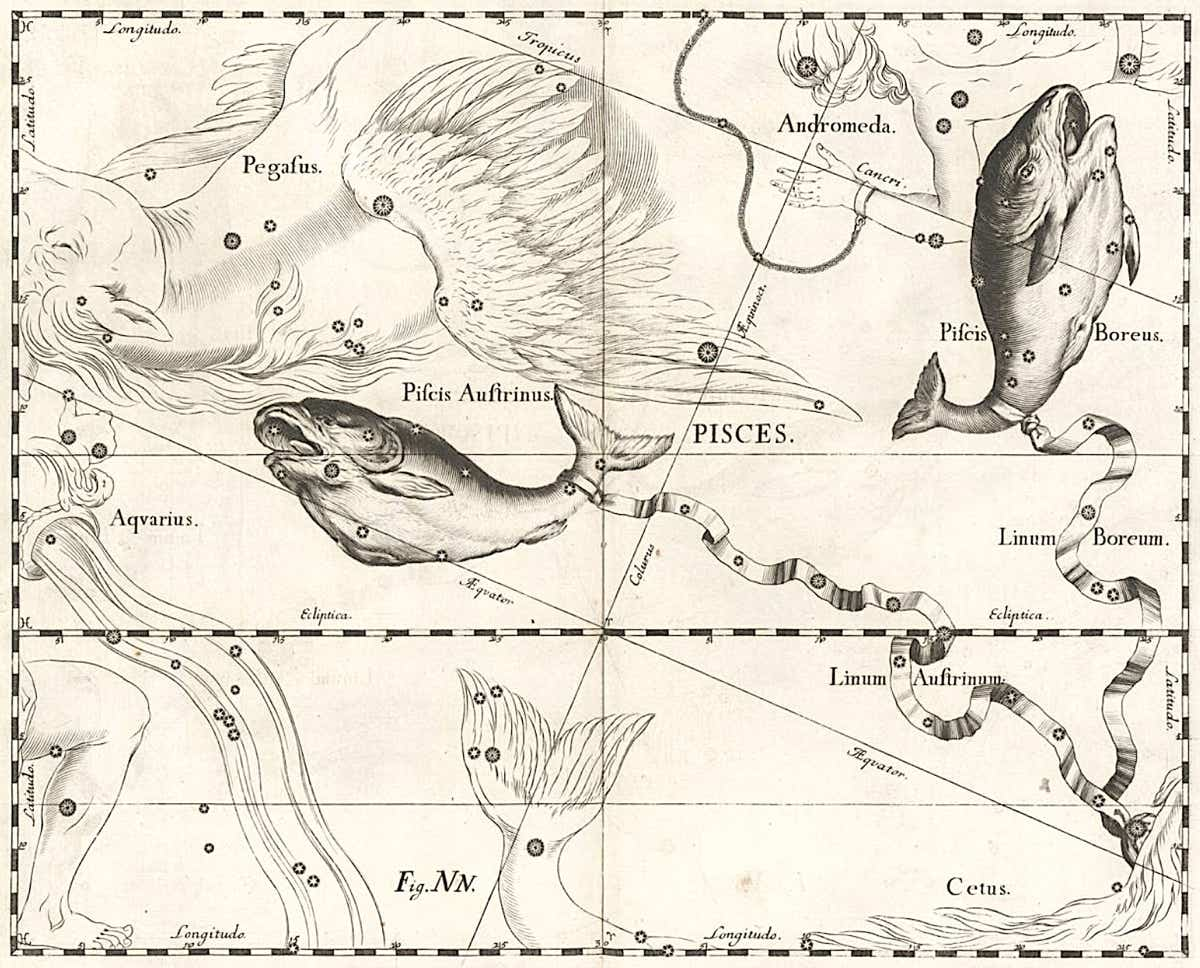 Pisces as depicted by Johannes Hevelius