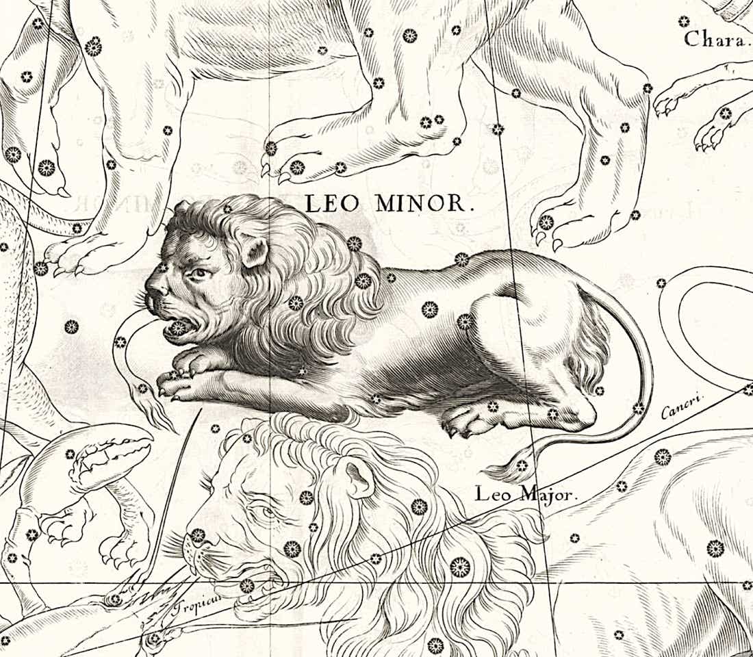 Leo Minor depicted in the Firmamentum Sobiescianum star atlas of Johannes Hevelius
