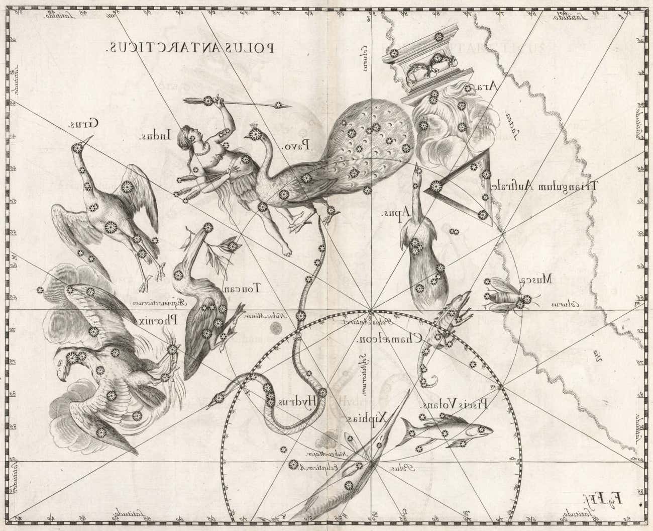 Hevelius’s southern star chart 1690 