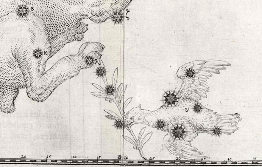 Columba on Johann Bayer’s Uranometria