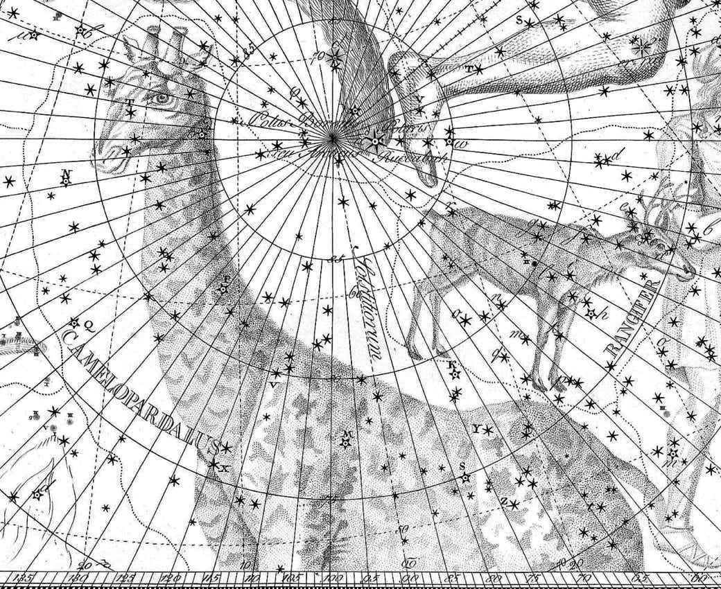 Camelopardalis on Bode's Uranographia