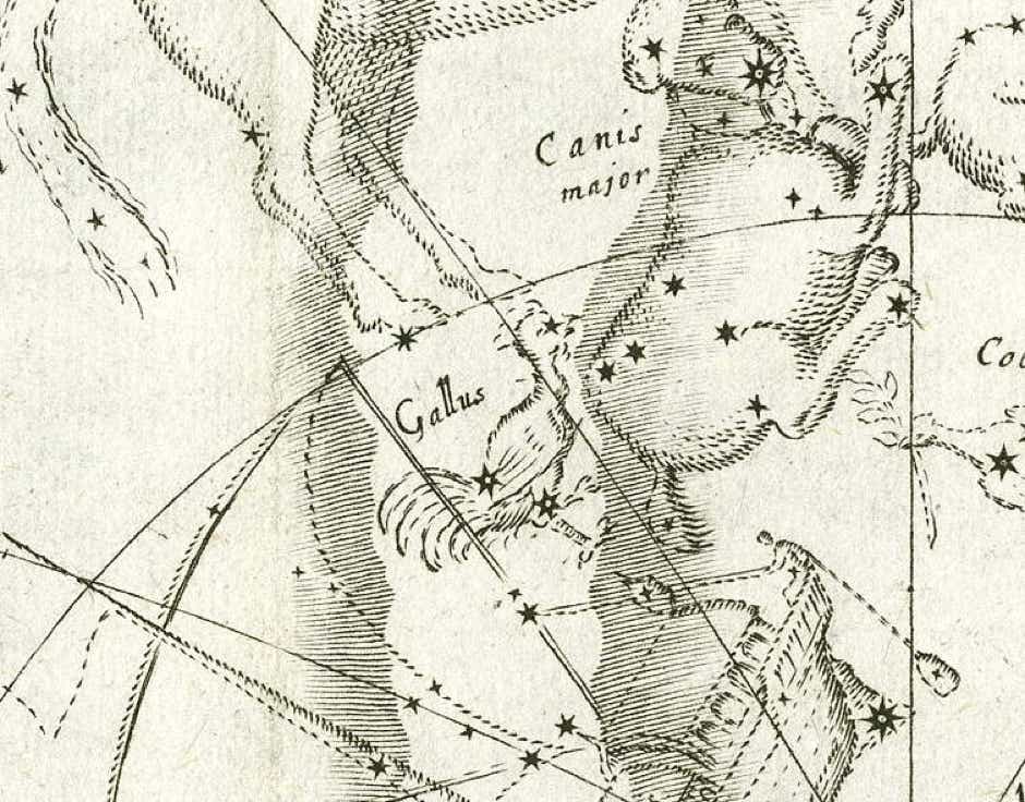 Gallus on Isaac Habrecht’s Planiglobium Coeleste et Terrestre.
