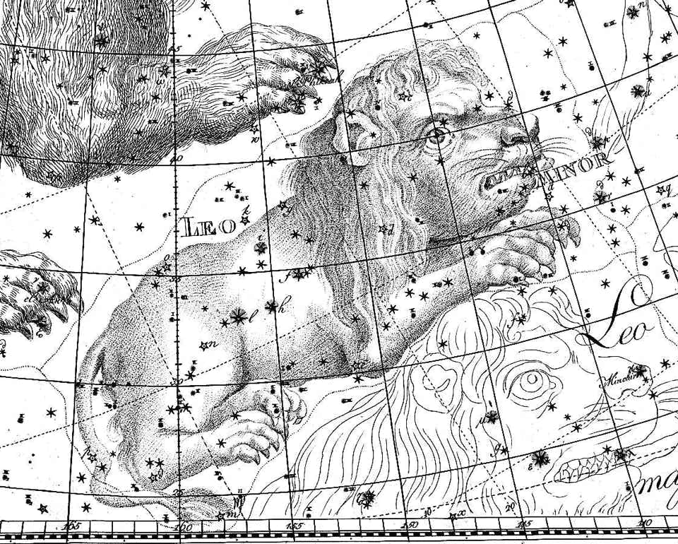 Leo Minor from Chart VI of the Uranographia of Johann Bode