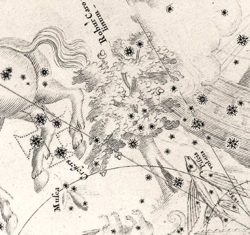 Robur Carolinum on Halley's southern star chart