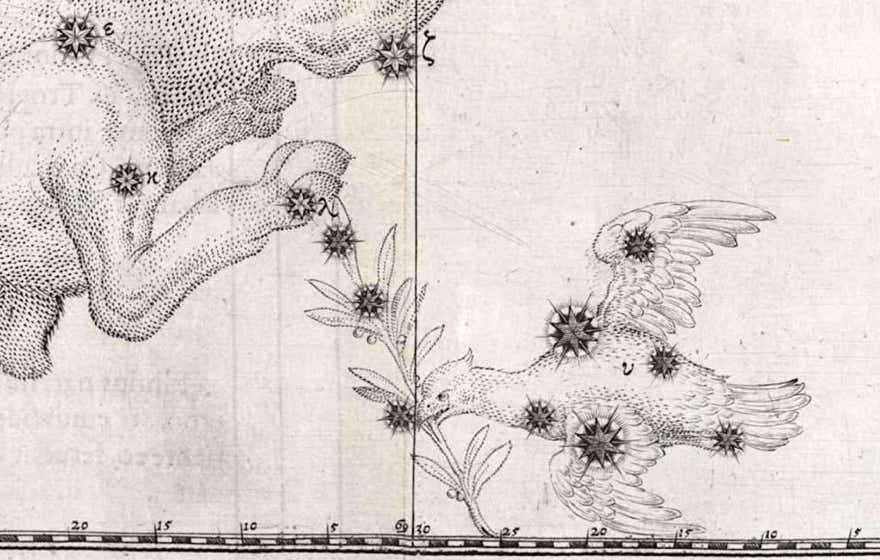 Columba on Johann Bayer’s Uranometria