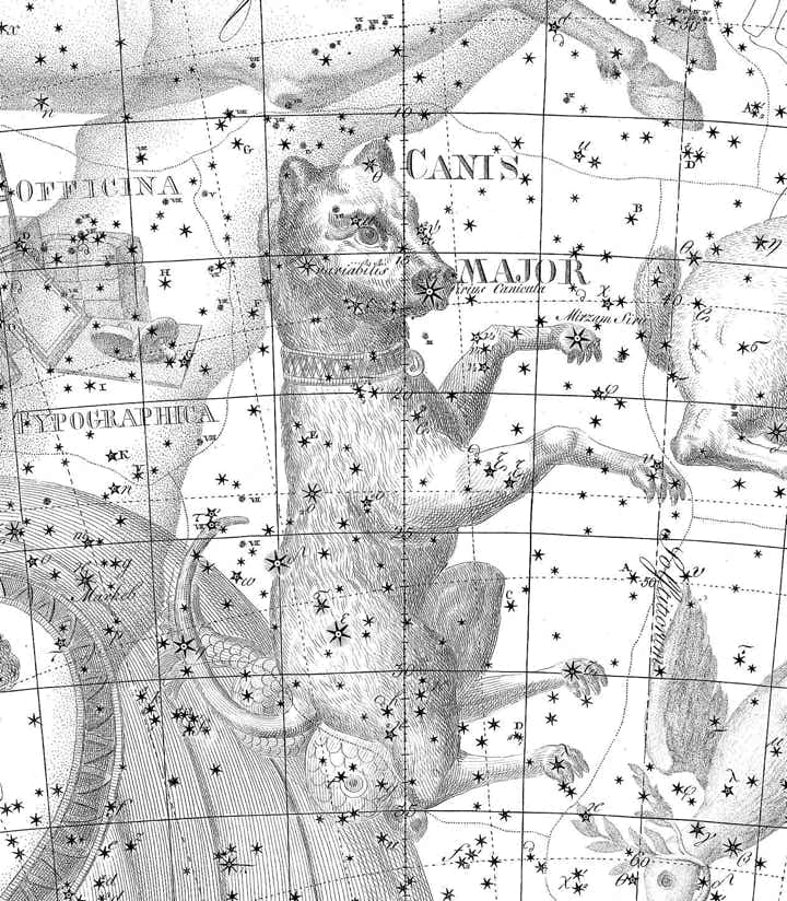 Canis Major on Bode's Uranographia