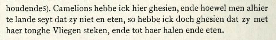 Willem Lodewyckz’s description of chameleons
