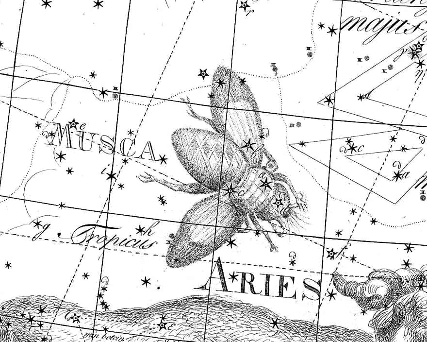 Musca Borealis on Bode's Uranographia