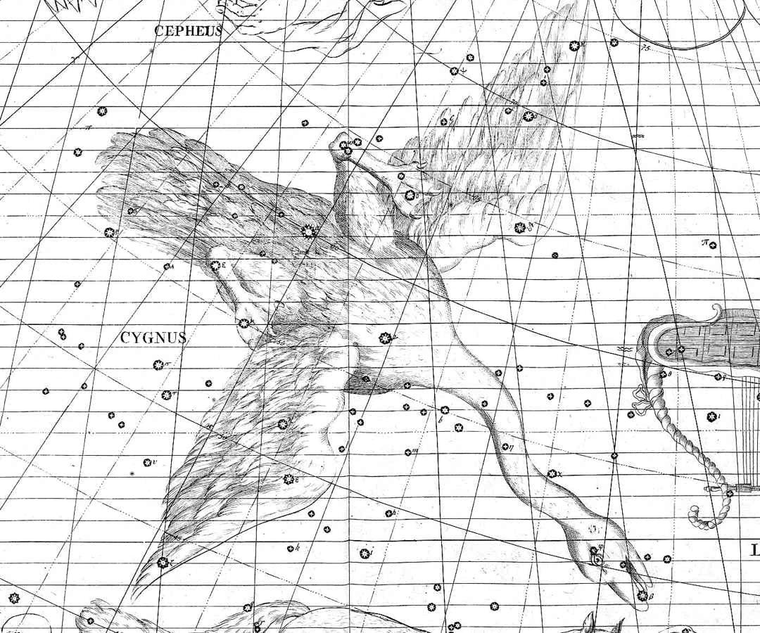 Cygnus on Flamsteed's Atlas Coelestis