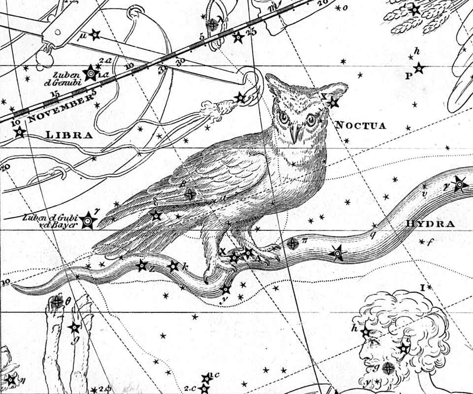Noctua on Jamieson's Celestial Atlas