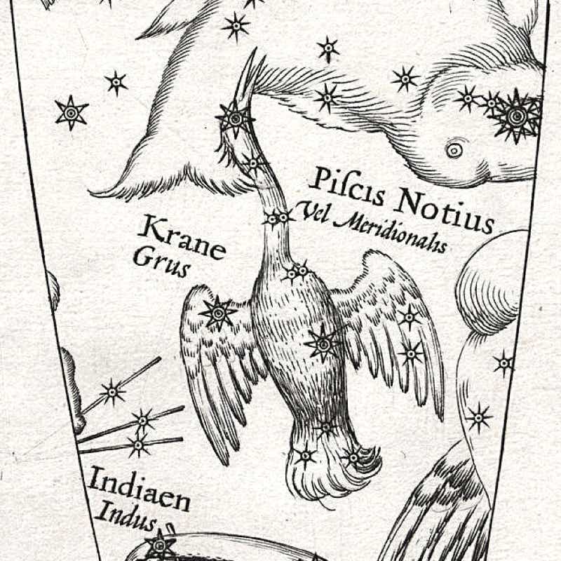 Grus shown on Plancius's celestial globe of 1598