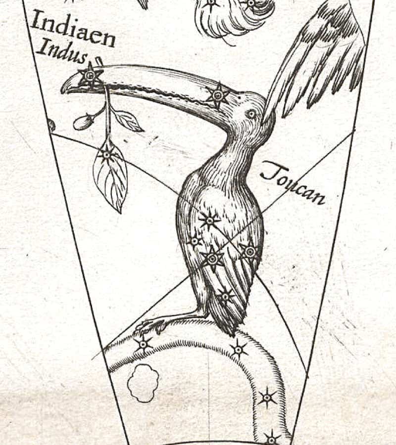 Tucana shown on Plancius's celestial globe of 1598