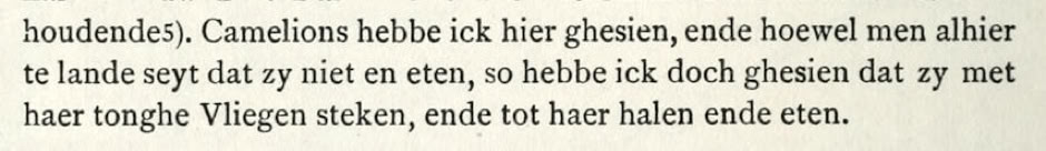 Willem Lodewyckz’s description of chameleons on Madagascar