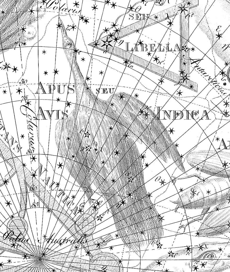 Apus on  Bode's Uranographia